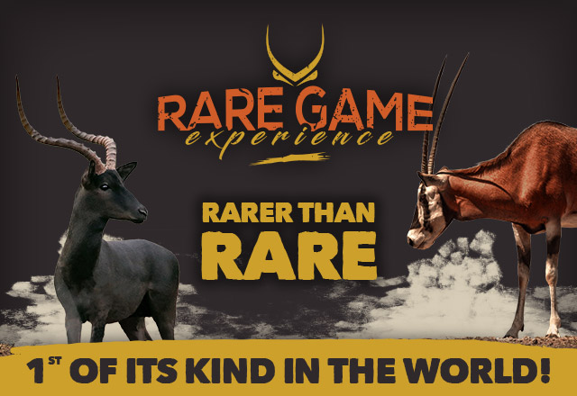 The Rare Game Experience Is Officially Launched